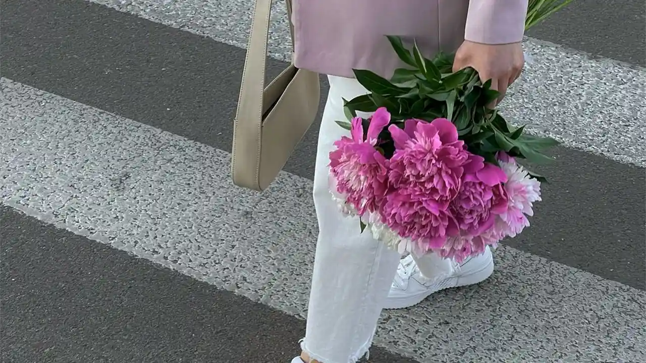 5566网站是什么及怎么用