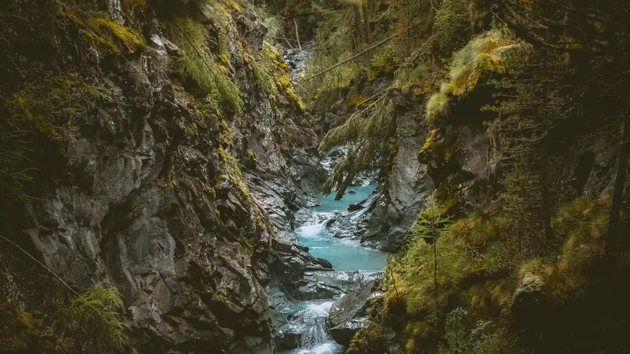 陈慧成头像